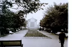 Иваново, аллея, около 1956 г.