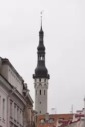 Улица Виру в Таллине — вид на башню Ратуши