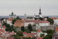 Вид на Вышгород со смотровой площадки с башни церкви Олевисте