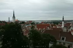 Таллин, старый город со смотровой площадки