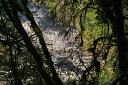 Тисо-Самшитовая роща, скалы из известняка на противоположном берегу реки Хоста