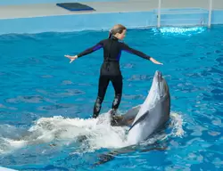 Дельфинарий «Ривьера», фото 61