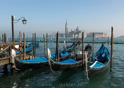 Венеция, фото 75