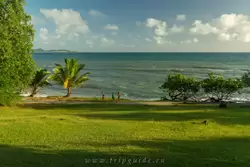 Мартиника, фото 40