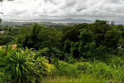 Мартиника, фото 28
