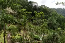 Мартиника, фото 36