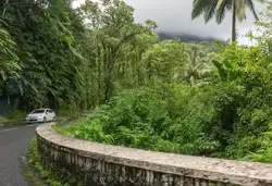 Мартиника, фото 72