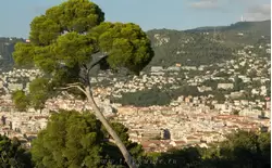 Вид на Ниццу с Замковой горы 
