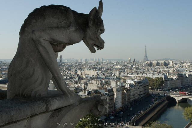 Химера смотрит на Париж