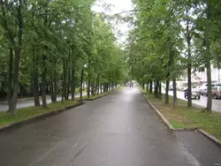 Зелёные бульвары Костромы