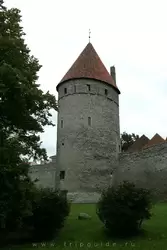 Башня старого города в Таллине