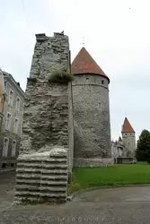 Таллинская крепостная стена