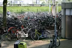 Стоянка велосипедов около автобусной станции
