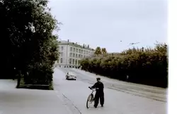 Иваново, велосипедист на улице, около 1962 г.