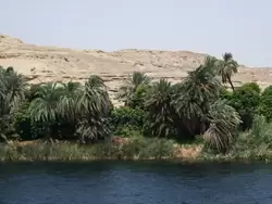 Берег Нила