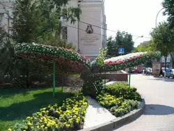 Бабочка возле консерватории в Ростове-на-Дону
