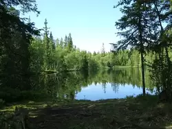 Лесное озеро на Соловках