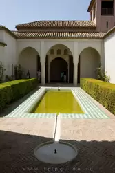 Двор водоема (patio del Alberca)
