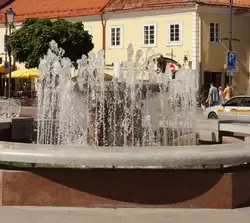 Фонтан на Ратушной площади в Вильнюсе