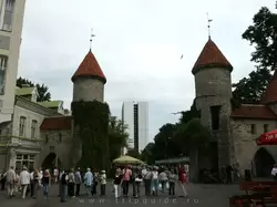 Ворота Виру в Таллине