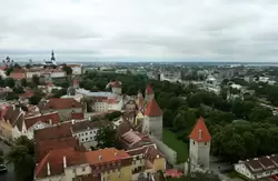 Вид на Таллин с церкви Олевисте