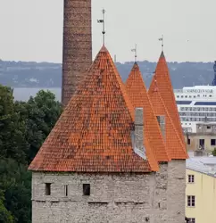 Крепостная стена Таллина — фото