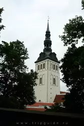 Церковь Нигулисте в Таллине фото