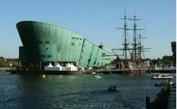 Nemo и парусник «Амстердам»