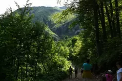 Водопад Поликаря, вид сквозь кроны деревьев