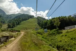 Канатная дорога «Реликтовый лес» (960–1460 метров)