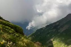 Альпийские луга на склоне гор
