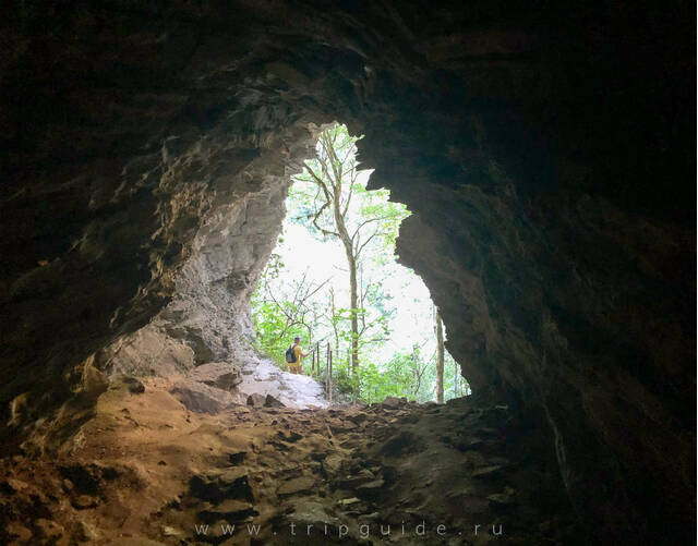 Тисо-Самшитовая роща, пещера