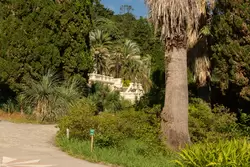 Буйная растительность у виллы «Надежда» в парке Дендрарий в Сочи