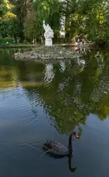 Чёрный лебедь и скульптура «Посейдон»