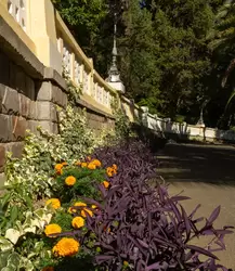 Цветники вокруг дачи «Надежда» в парке Дендрарий в Сочи