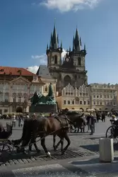 Староместская площадь и ратуша в Праге, фото 3