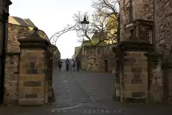 Симпатичные ворота