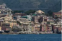 От Генуи до Портофино на кораблике, фото 41