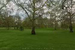 Грин парк в Лондоне