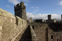 Замок Карнарвон, фото 21