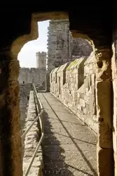 Замок Карнарвон, фото 38