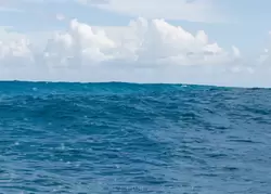 Огромные волны в Карибском море