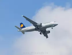 Самолет Airbus A320-211 а/к Lufthansa, бортовой номер D-AIQF