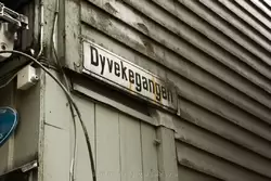 Дювекеганген — самая узкая улица Бергена, фото 4