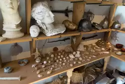 Ракушки моллюсков в кабинете в доме Рембрандта