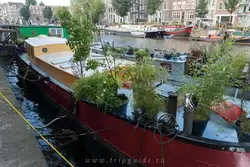 Амстердам, фото 10