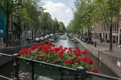 Амстердам, фото 62