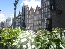Первое знакомство с Амстердамом