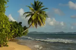 Мартиника, фото 30