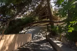 Лестница к Чёрному морю от гостиницы «Жемчужина» проходит под ветками лиственниц